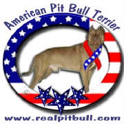 The Real Pit Bull