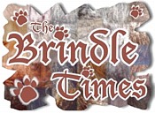 The Brindle Times